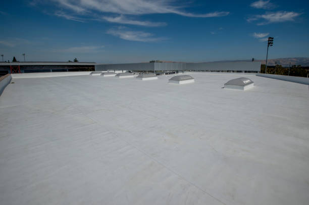 Best Roof Moss and Algae Removal  in Forestville, OH
