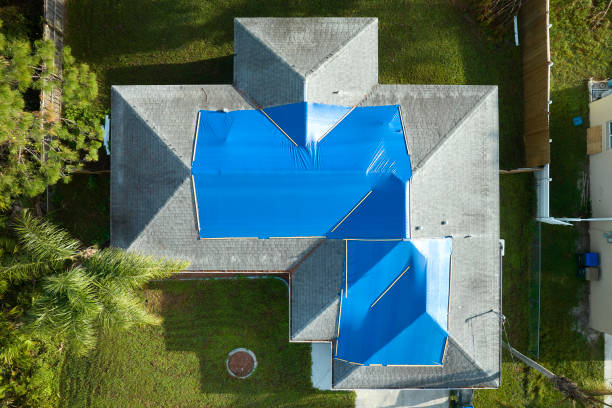 Best Flat Roofing  in Forestville, OH