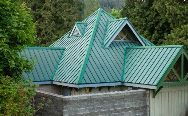 Best Rubber Roofing (EPDM, TPO)  in Forestville, OH