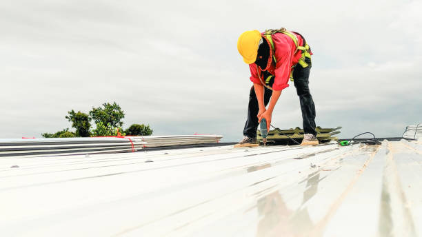 Best Chimney Flashing Repair  in Forestville, OH