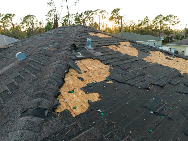 Best Tile Roofing Installation  in Forestville, OH