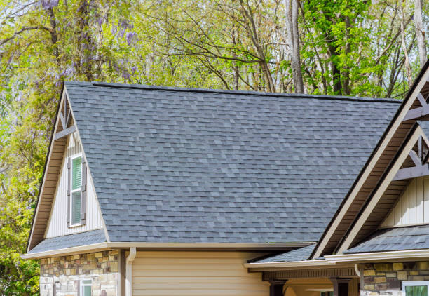 Best Roof Insulation Installation  in Forestville, OH