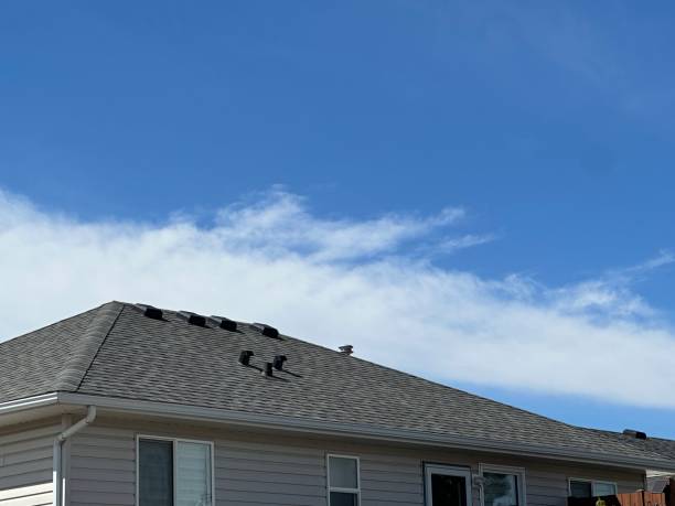 Best Wood Shake Roofing  in Forestville, OH